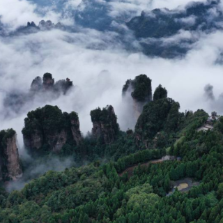 中国第一个国家森林公园张家界国家森林公园迎来40岁生日