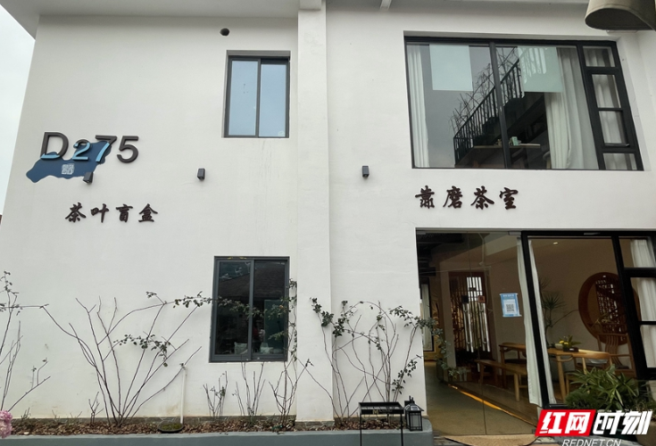 视角⑤|紫色的茶叶你见过吗?