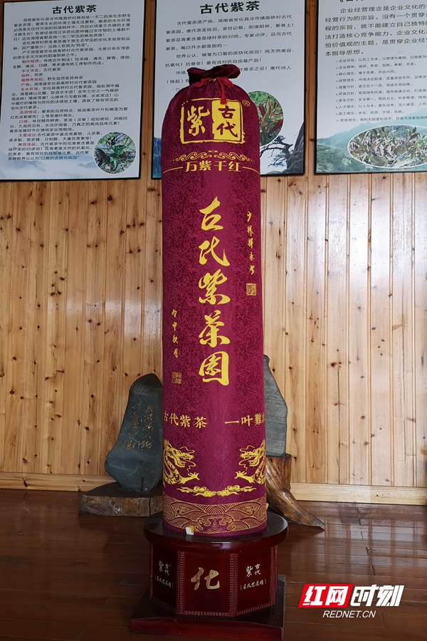 微信图片_20220301140458.jpg