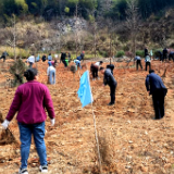 践行林长制 大围山国家森林公园管理处开展植树节活动