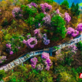 “旅游+？” 这个五一，怀化有全新的“打开方式”