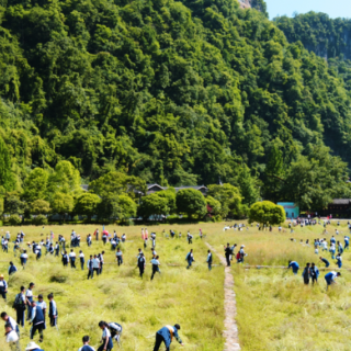 30亩地“消耗”700余名学生 张家界一中学帮黄龙洞抢收油菜