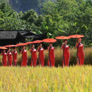 张家界黄龙洞景区：田园旗袍秀 喜迎旅发会