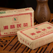 刘仲华院士团队 | 茯砖茶抗腹泻机制