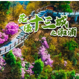 春游怀化 让世界“侗”听｜倒计时6天：警予故里春正好 长寿之乡寻芳菲