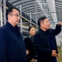 湖南大众传媒职院：推进产业发展助力乡村振兴