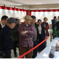 以活动助传承 永州市民间文艺传承有声有色