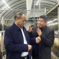 湖南大众传媒职院：因地制宜推动产业融合加快乡村振兴
