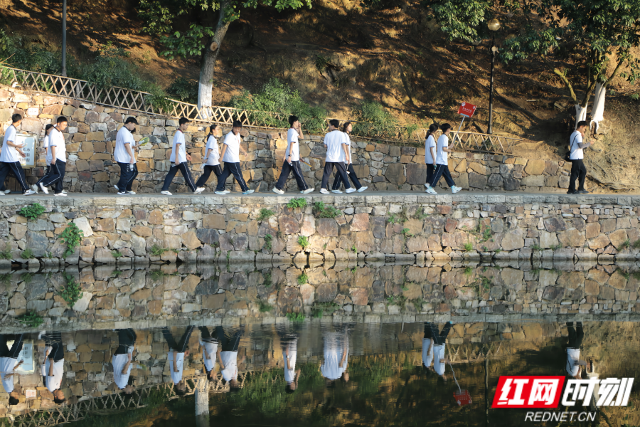 图片51.png 图片51.png