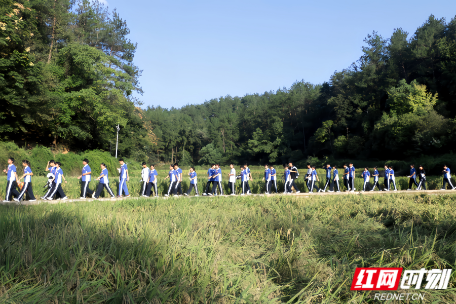 图片44.png 图片44.png