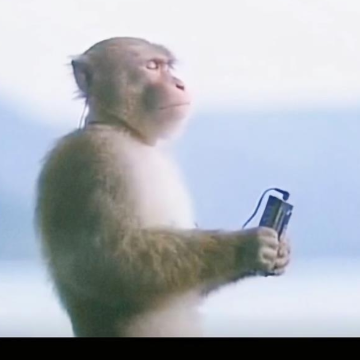 《反电信网络诈骗法》正式施行，一起来学习（四）