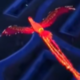 西安凤凰飞天氛围感拉满