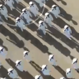 这画面瞬间治愈强迫症