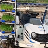 一人插秧百亩田是什么体验