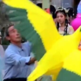 夜游篁岭遇见仙鹤舞