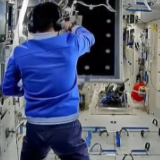 神舟十八号乘组在轨一个月 航天员开展斑马鱼水样样品采集等操作