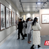 “景仰生命、惠济百姓”纪念湘潭市中心医院建院120周年书画展开幕