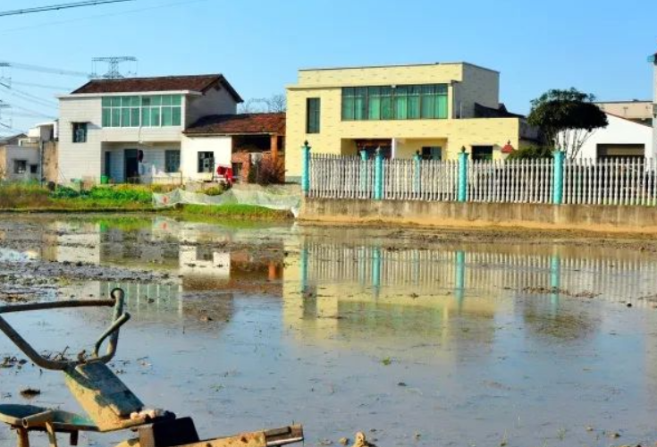 春光渐浓，农时催人 雨湖春耕备耕正当时