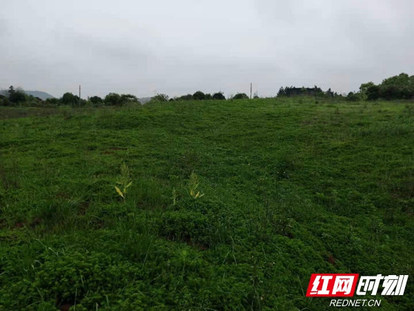 湘潭市长江经济带废弃露天矿山生态修复成效初显