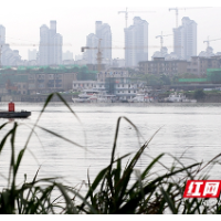 组图｜久雨逢晴 莲城市民户外活动“忙”