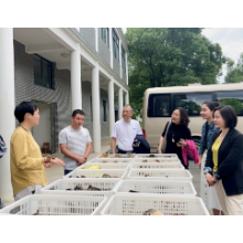 跨越22年的呼唤，数千文物回归湘潭