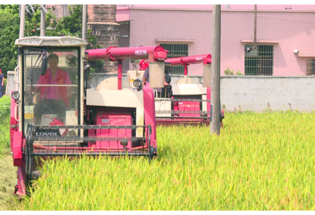 湘潭县部署粮食安全考核工作和粮食收购工作