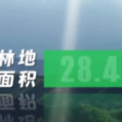 短视频 | 今天，来认识一个满屏苍翠的湘乡！