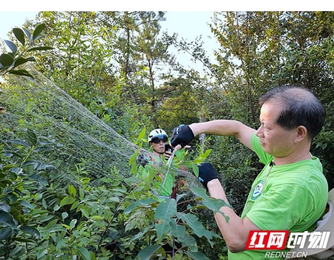 湘潭市生态环保协会“湘乡护鸟营”志愿者开展“护飞行动”