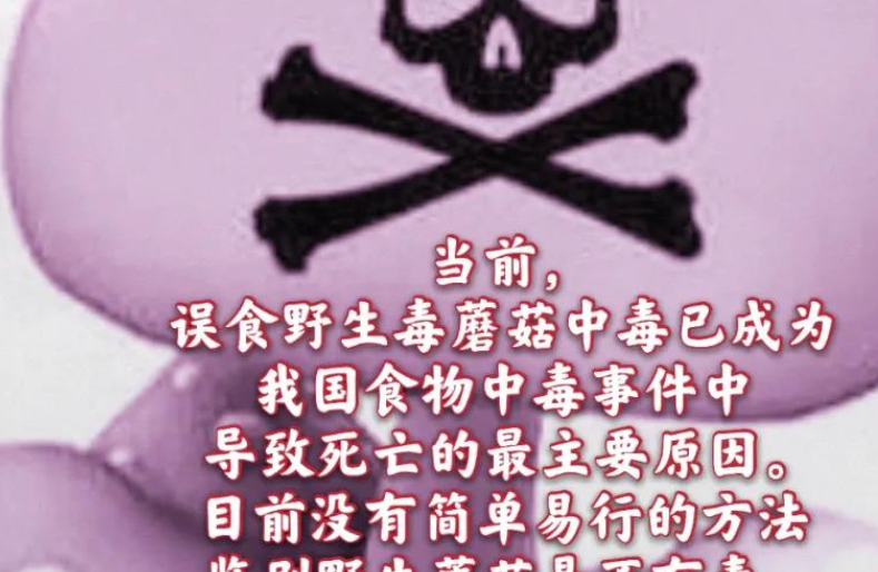 视频丨误食毒蘑菇 亲人泪两行