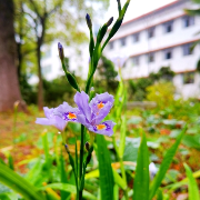 组图丨春雨里的湘潭技师学院