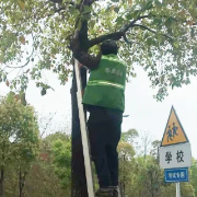 湘潭高新区：清理遮挡障碍物 为道路安全“保驾护航”