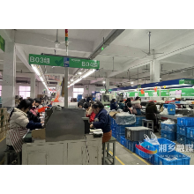 湘乡：端稳就业“饭碗” 幸福满满