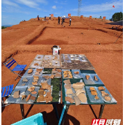 文物专家抢救性发掘湘潭县“颜长春”墓群（图）