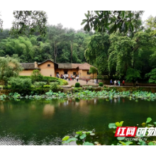韶山市委书记曹伟宏：牢记嘱托 担当作为 推进巡察工作高质量发展