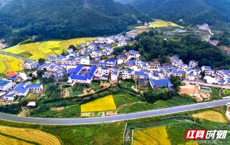 韶山市韶阳村：产业兴旺农家富 人居环境焕新颜