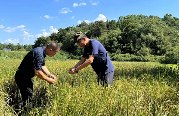 湘潭县白石镇：全力抗旱情 解渴“润”民心