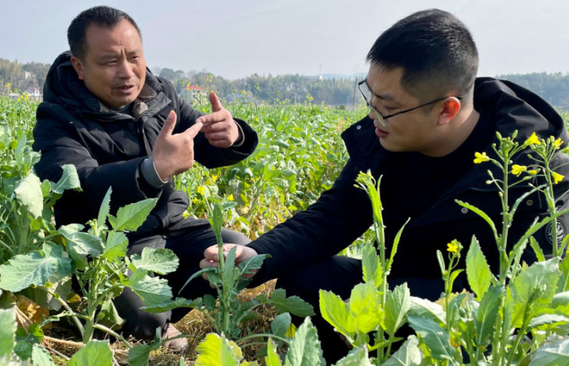 新华社新春走基层丨“冬闲人忙”放手干——湖南湘潭新型粮油生产经营主体新春走访见闻