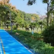 迎齐白石国际文化艺术节 湘潭改造提升白石公园品质