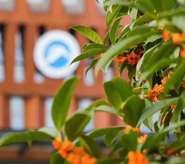 组图丨湖南科技大学：几度秋意浓，最是桂花香