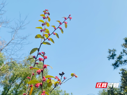 湘潭市两名教师承担国家级示范培训