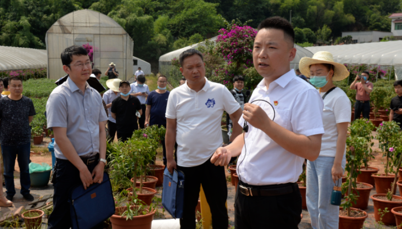 湘潭市4人2集体获评首届“湖南省乡村振兴青年先锋” 