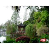 组图丨莲城芳菲四月花似锦