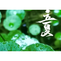海报丨湘潭：春意阑珊尽 立夏渐浓来