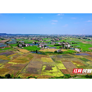 红视频丨湘潭市机关事务管理局驻村干部谢湘华：“把脉问诊”共谋乡村振兴