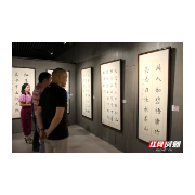 湘潭市群艺馆举办“群文课堂·老年大学”春季学员结业作品展