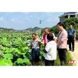 走找想促丨湘潭：科技专家来“坐诊” 助力乡村振兴结硕果