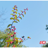 科普视频丨湘潭市中心医院血透课堂：透析过程中适量运动