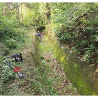 湘潭县乌石镇：打通末级渠系“毛细血管” 做好“源头活水”田地文章