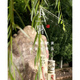 海报丨小暑至 盛夏始 炎炎夏日觅清凉