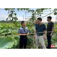 助力乡村振兴 这个暑假湘潭2万余名高校师生参加“三下乡”